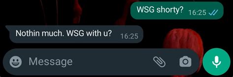 what does wsg mean from a guy|WSG Meaning in Text: Understanding the Social Media Acronym